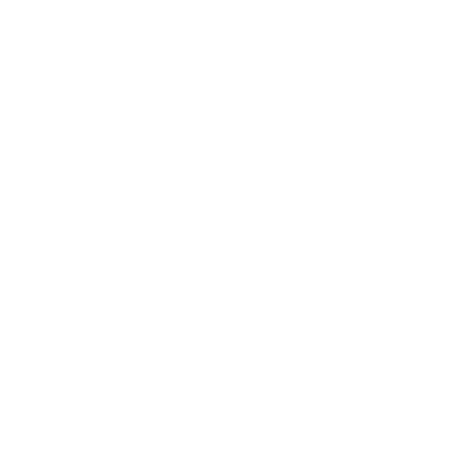 9D Breathwork founder and facilitators